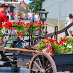 Traktor mit Blumenwagen bei Dorffest